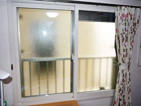 �L�����L���s�̂̓����i��d���E��d�T�b�V�j �C���v���X(�_�X�g�o���A)�����Ⴂ��2������ �{�H��