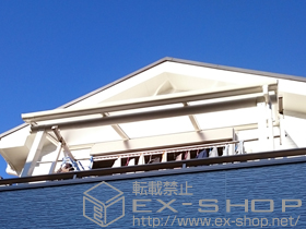 のバルコニー・ベランダ屋根 ヴェクターテラス F型 屋根タイプ 単体 積雪〜20cm対応 施工例