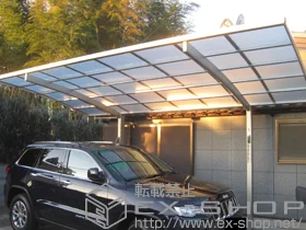 YKKAP�̃J�[�|�[�g ���C�i�|�[�g�O�����@�ϐ�`20cm�Ή��{�������������i�J�[�|�[�g���p�j 2�{����@�W�� �{�H��