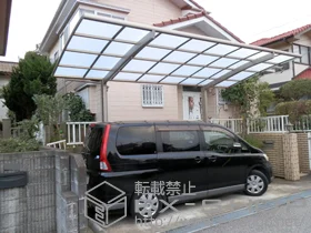 LIXIL NV(gXe)̃J[|[g J[u|[gVO}III ϐ`20cmΉ {H