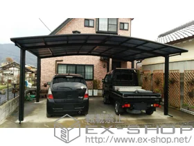 LIXIL ���N�V��(�g�X�e��)�̃J�[�|�[�g �J�[�u�|�[�g�V�O�}III ���C�h �ϐ�`20cm�Ή� �{�H��