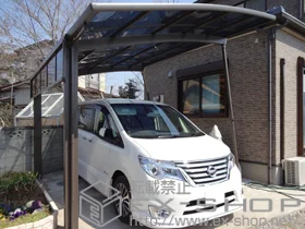 LIXIL NV(gXe)̃J[|[g J[u|[gVO}III ϐ`20cmΉ+J[u|[gVO}VTChpl+[T|[g(⏕)(1{) {H