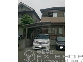 YKKAP�̃J�[�|�[�g ���C�i�|�[�g�O�����@�ϐ�`20cm�Ή� �{�H��