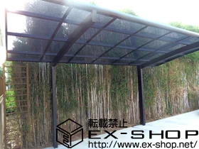 LIXIL NV(gXe)̃J[|[g J[u|[gVO}III ϐ`20cmΉ {H