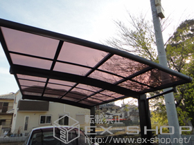 のカーポート レイナポートグラン　積雪〜20cm対応+レイナポートグラン用　着脱式サポート柱　標準　2本入 施工例