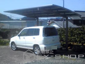 LIXIL ���N�V��(�g�X�e��)�̃J�[�|�[�g �J�[�u�|�[�g�V�O�}III �ϐ�`20cm�Ή� �{�H��