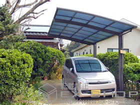 LIXIL NV(gXe)̃J[|[g J[u|[gVO}III ϐ`20cmΉ{J[u|[gVO}Vp@ET|[g@1{ {H