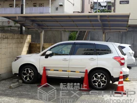 LIXIL NV(gXe)̃J[|[g J[u|[gVO}III ϐ`20cmΉ {H