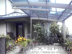 LIXIL NV(gXe)̃J[|[g J[u|[gVO}III ϐ`20cmΉ{[T|[g(⏕)(1{) {H