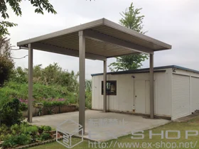 LIXIL NV(gXe)̃J[|[g eIX|[gIII 3000 2p p4{ ϐ`100cmΉ {H