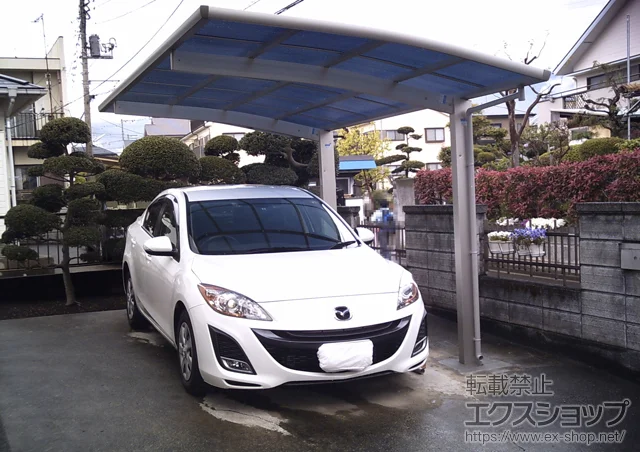 YKKAP�̃J�[�|�[�g ���C�i�|�[�g�O���� �ϐ�`20cm�Ή� �{�H��