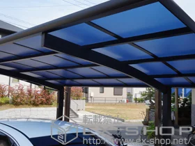 YKKAP�̃J�[�|�[�g ���C�i�|�[�g�O�����@�ϐ�`20cm�Ή� �{�H��