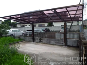 YKKAP�̃J�[�|�[�g ���C�i�|�[�g�O�����@�ϐ�`20cm�Ή�+���E���T�|�[�g�� 2�{���� �{�H��