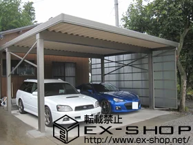 LIXIL NV(gXe)̃J[|[g eIX|[gIII 2p p4{ ϐ`100cmΉ{TChpl g1ʈ͂{݂艺 Ch 2{ {H