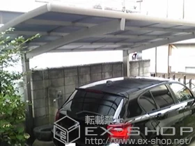 LIXIL NV(gXe)̃J[|[g J[u|[gVO}III ϐ`20cmΉ {H