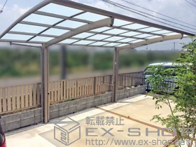 LIXIL ���N�V��(�g�X�e��)�̃J�[�|�[�g �J�[�u�|�[�g�V�O�}III �ϐ�`20cm�Ή�+���E���T�|�[�g 1�{���� �{�H��