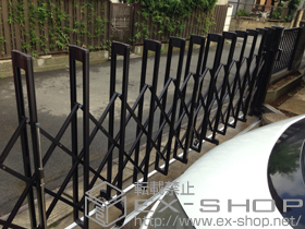 のカーゲート アルシャインII L型 Aタイプ サイドレールタイプ 片開き 480S 施工例