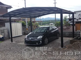 LIXIL ���N�V��(�g�X�e��)�̃J�[�|�[�g �J�[�u�|�[�g�V�O�}III ���C�h �ϐ�`20cm�Ή� �{�H��