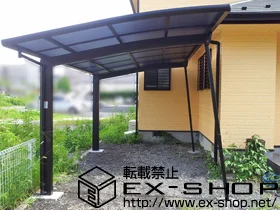 LIXIL NV(gXe)̃J[|[g J[u|[gVO}III ϐ`20cmΉ{ET|[g@W@1{ {H