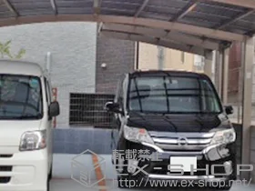 LIXIL NV(gXe)̃J[|[g J[u|[gVO}III ϐ`20cmΉ {H