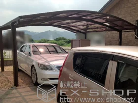 YKKAP�̃J�[�|�[�g ���C�i�c�C���|�[�g�O�����@�ϐ�`20cm�Ή� �{�H��