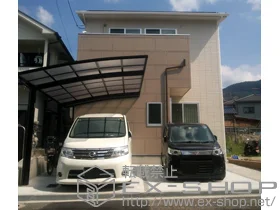 YKKAP�̃J�[�|�[�g ���C�i�|�[�g�O�����@�ϐ�`20cm�Ή� �{�H��