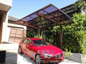 YKKAP�̃J�[�|�[�g ���C�i�|�[�g�O�����@�ϐ�`20cm�Ή� �{�H��