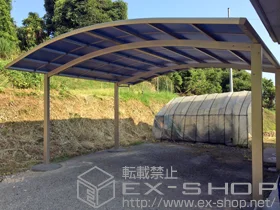 YKKAP�̃J�[�|�[�g ���C�i�c�C���|�[�g�O�����@�ϐ�`20cm�Ή� �{�H��