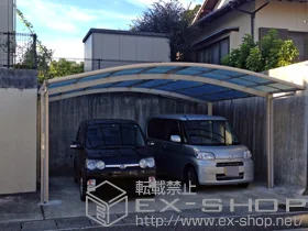 YKKAP�̃J�[�|�[�g ���C�i�c�C���|�[�g�O�����@�ϐ�`20cm�Ή� �{�H��