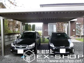 LIXIL NV(gXe)̃J[|[g eIX|[gIII 3000 2p p4{dl ϐ`100cmΉ {H