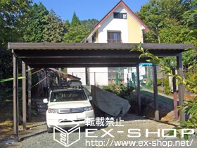 LIXIL ���N�V��(�g�X�e��)�̃J�[�|�[�g �e���I�X�|�[�gIII 4500 2��p �p��6�{�� �ϐ�`150cm�Ή� �{�H��