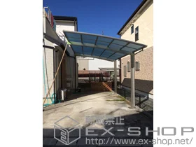 YKKAP�̃J�[�|�[�g ���C�i�|�[�g�O�����@�ϐ�`20cm�Ή� �{�H��