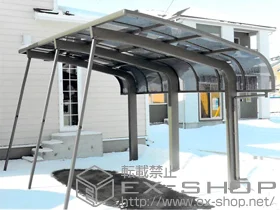 LIXIL NV(gXe)̃J[|[g e[|[gVO}III 1500 ϐ`50cmΉ{ET|[g W 1{~3 {H