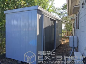 �C�i�o�̕��u�E���[�E���O�q�� �l�N�X�^��^ ��ʌ^�iNXN-100H PG �j �{�H��