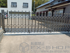 のカーゲート アルシャインII PG型R(ペットガード) Aタイプ ノンレール 片開き 590S 施工例