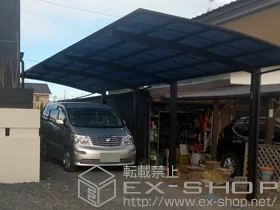 YKKAP�̃J�[�|�[�g ���C�i�|�[�g�O���� �c�A���@�ϐ�`20cm�Ή� �{�H��