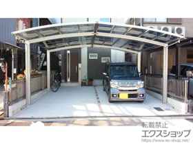 YKKAP�̃J�[�|�[�g ���C�i�|�[�g�O���� M�����@�ϐ�`20cm�Ή� �{�H��