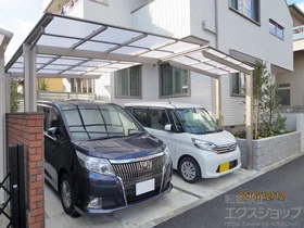 LIXIL(���N�V��)�̃J�[�|�[�g �l�X�JF (�t���b�g�X�^�C��) �ϐ�`20cm�Ή� �{�H��