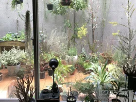 YKKAP�̃E�b�h�f�b�L �o���R�j�[�p ���E�b�h�f�b�L 200 �{�H��