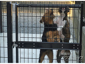 の門扉 ハイグリッド門扉N8型 片開き 柱使用 施工例