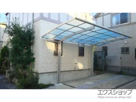 YKKAP�̃J�[�|�[�g ���C�i�|�[�g�O�����@�ϐ�`20cm�Ή� �{�H��