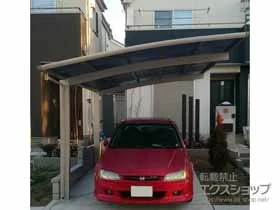 YKKAP�̃J�[�|�[�g ���C�i�|�[�g�O�����@�ϐ�`20cm�Ή� �{�H��