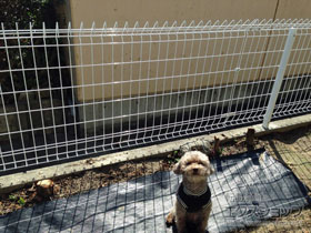 のフェンス・柵 メッシュフェンス G10-R 施工例