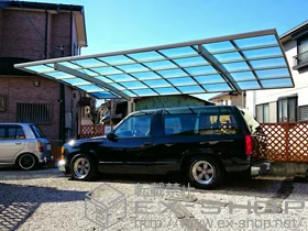 YKKAP�̃J�[�|�[�g ���C�i�|�[�g�O�����@�ϐ�`20cm�Ή� �{�H��