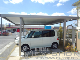 のカーポート テリオスポートIII 900 2台用 角柱4本仕様 積雪〜30cm対応 施工例