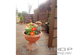 のウッドデッキ リウッドデッキ 200＋リウッドデッキフェンス3型<横スリット> 施工例