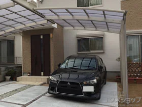 YKKAP�̃J�[�|�[�g ���C�i�|�[�g�O�����@�ϐ�`20cm�Ή� �{�H��