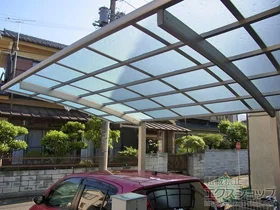 YKKAP�̃J�[�|�[�g ���C�i�|�[�g�O�����@�ϐ�`20cm�Ή� �{�H��