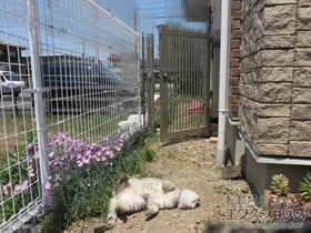 YKKAP�̖�� ���X�e�B����� 11�^ �ЊJ���@�和�g�p �{�H��