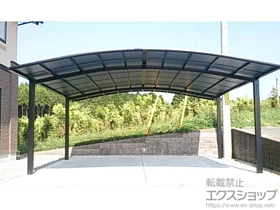 LIXIL ���N�V��(�g�X�e��)�̃J�[�|�[�g �J�[�u�|�[�g�V�O�}III ���C�h �ϐ�`20cm�Ή� �{�H��